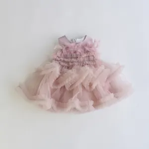 Feathers & Frills Baby Dress