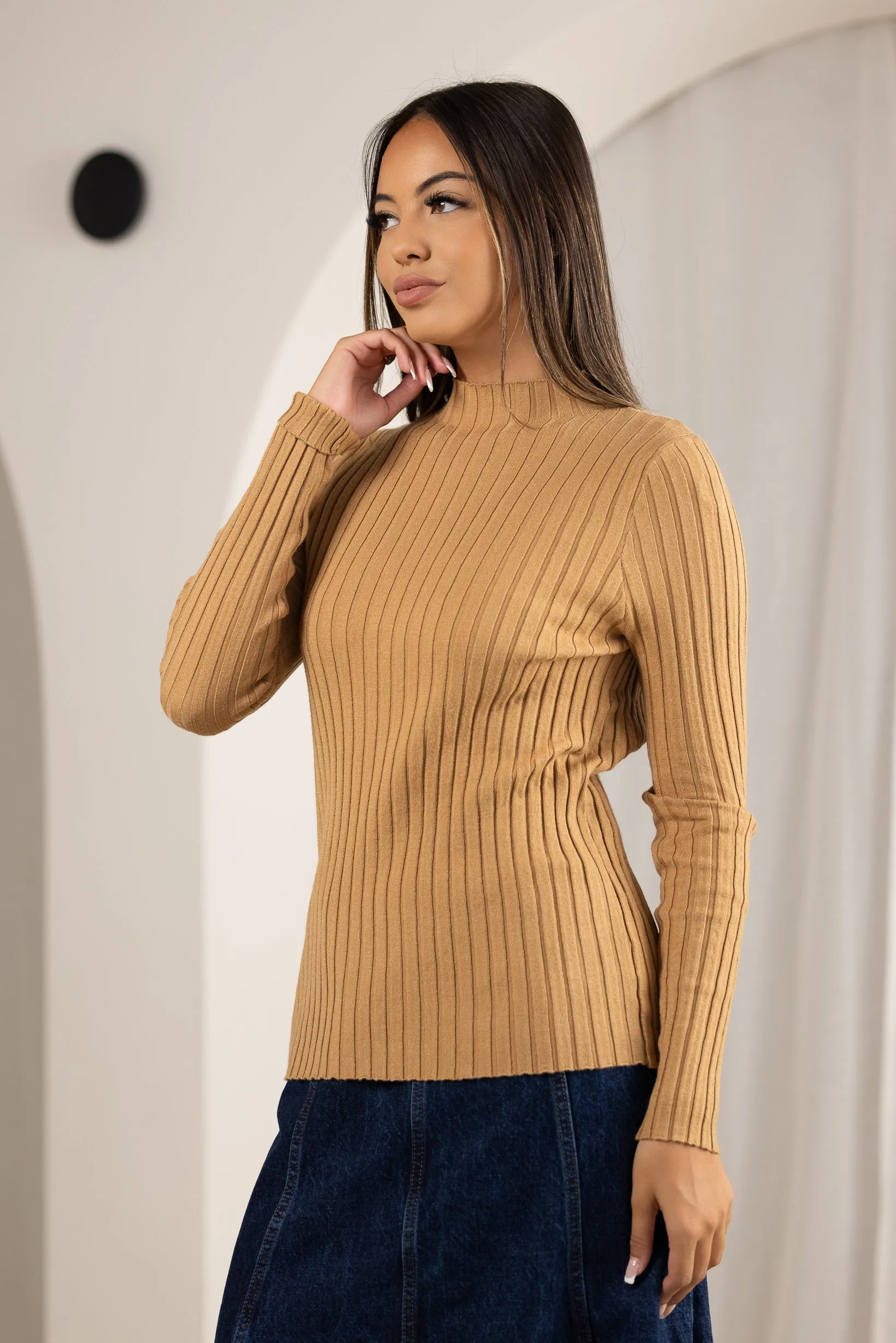 Ribbed Knitted Top